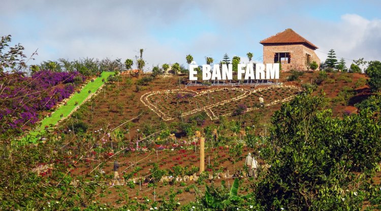 Ê Ban Farm