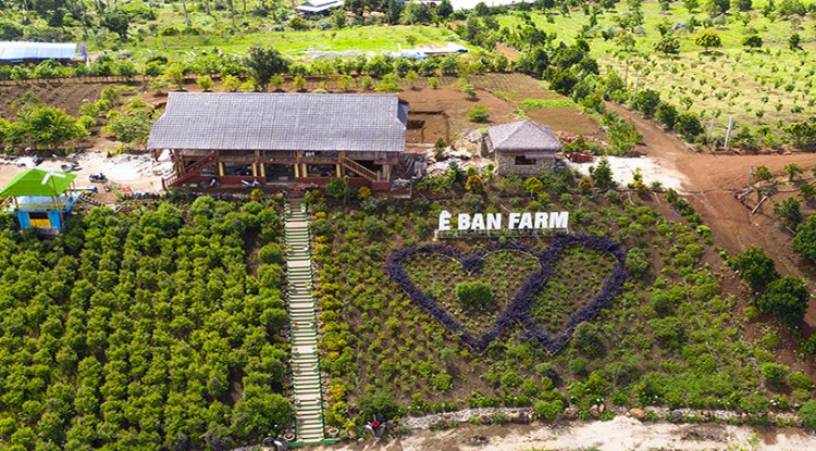 E Ban Farm – A Complete Guide to the Ecotourism Experience