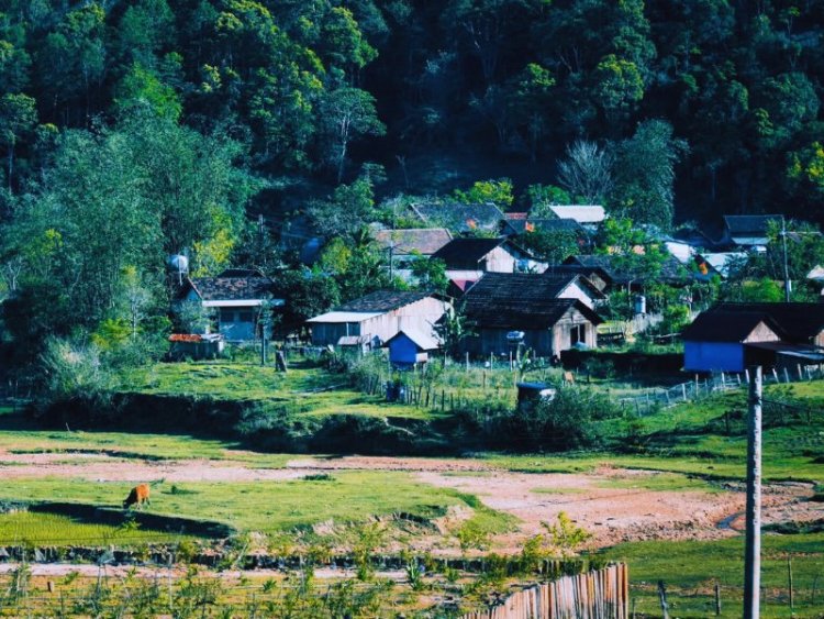 Kon Bring Village – A Unique Cultural Destination in Mang Den