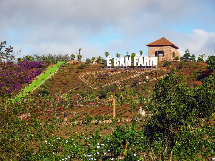 Ê Ban Farm