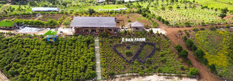 E Ban Farm – A Complete Guide to the Ecotourism Experience
